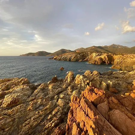 Des Chenes * 菲加里