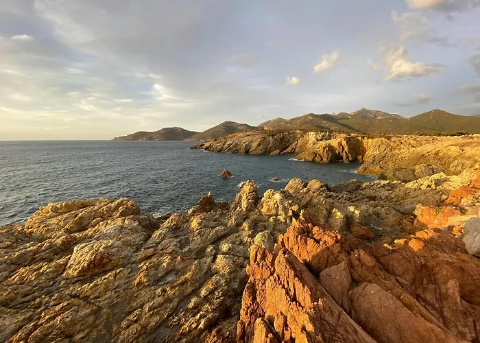 Des Chenes * Figari (Corsica)